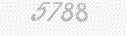Visual security code — type the characters shown in the image